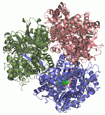 Image Asym./Biol. Unit - manually