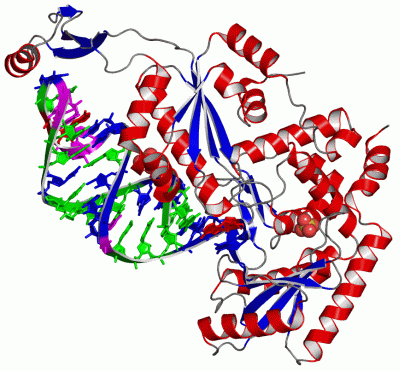 Image Asym./Biol. Unit - manually