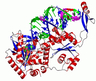 Image Asym./Biol. Unit - manually