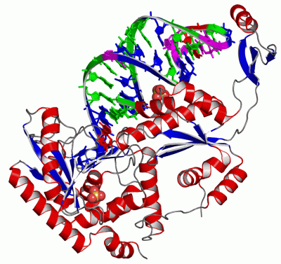 Image Asym./Biol. Unit - manually