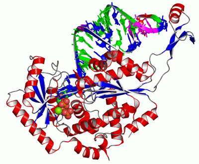 Image Asym./Biol. Unit - manually