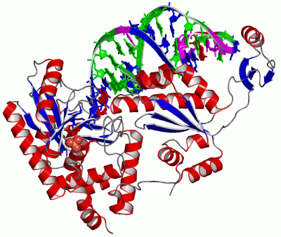 Image Asym./Biol. Unit - manually