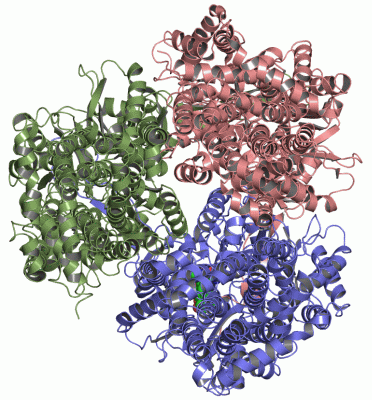 Image Asym./Biol. Unit - manually