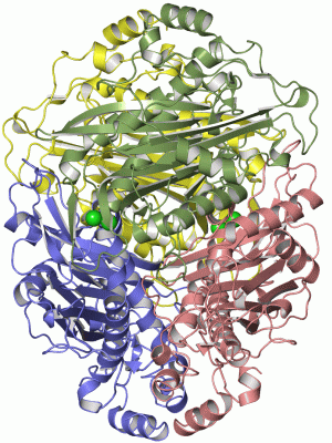 Image Asym./Biol. Unit - manually