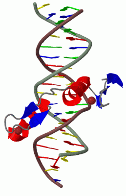 Image Biol.Unit 1 - manually