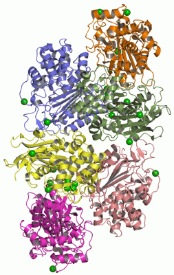 Image Asym.Unit - manually