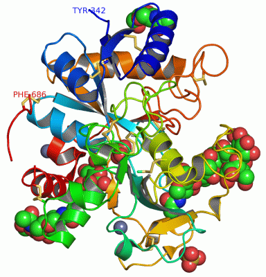 Image Asym./Biol. Unit - manually