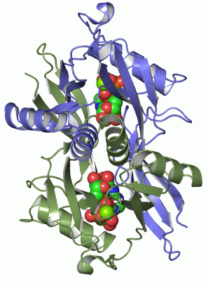 Image Asym./Biol. Unit - manually