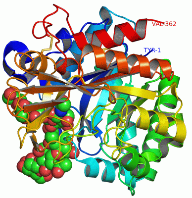 Image Asym./Biol. Unit - manually