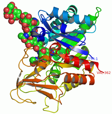 Image Asym./Biol. Unit - manually