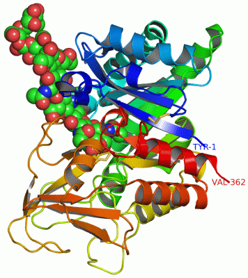 Image Asym./Biol. Unit - manually