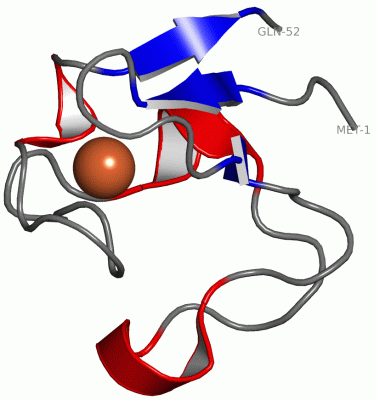 Image Asym./Biol. Unit - manually