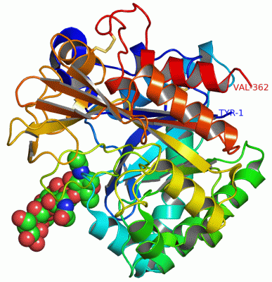 Image Asym./Biol. Unit - manually