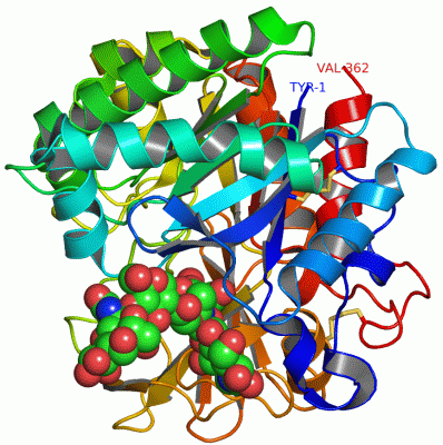 Image Asym./Biol. Unit - manually