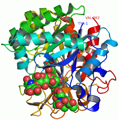 Image Asym./Biol. Unit - manually