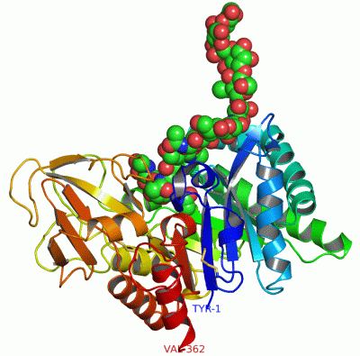 Image Asym./Biol. Unit - manually