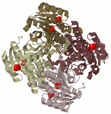 Image Biol.Unit 1 - manually