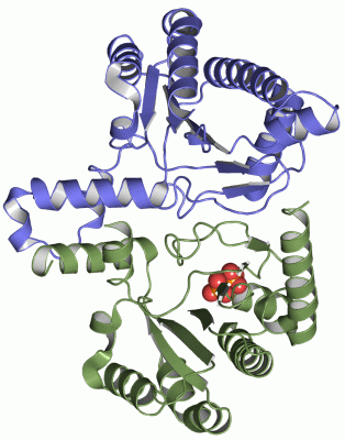 Image Asym./Biol. Unit - manually