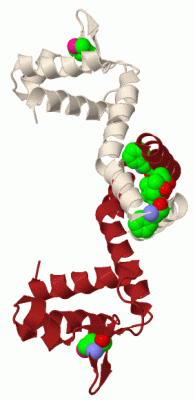 Image Biol.Unit 1 - manually