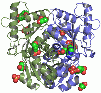 Image Asym./Biol. Unit - manually