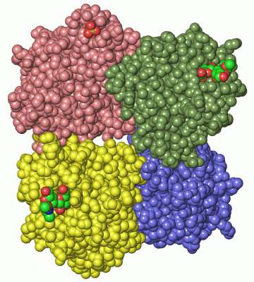 Image Asym./Biol. Unit - manually