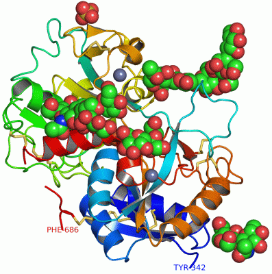 Image Asym./Biol. Unit - manually