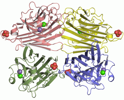 Image Asym./Biol. Unit - manually