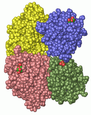 Image Asym./Biol. Unit - manually