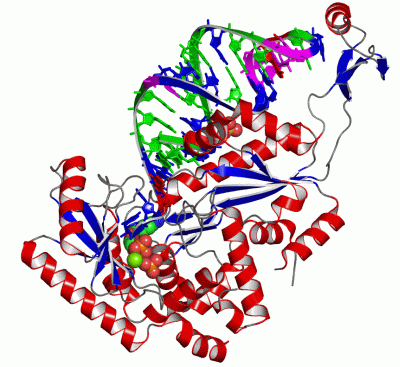 Image Asym./Biol. Unit - manually