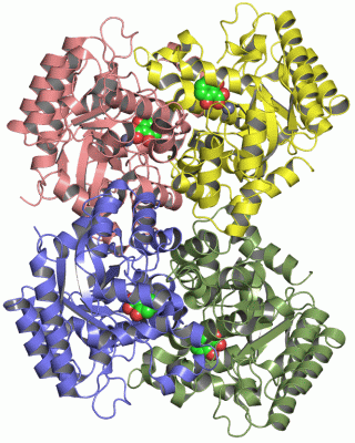 Image Asym./Biol. Unit - manually