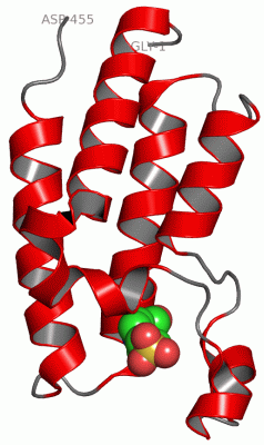 Image Asym./Biol. Unit - manually