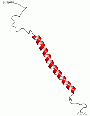 Image NMR Structure - manually