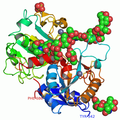 Image Asym./Biol. Unit - manually