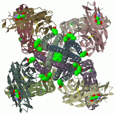 Image Biol.Unit 1 - manually