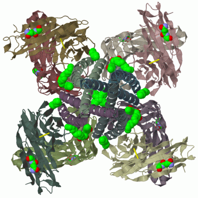 Image Biol.Unit 1 - manually