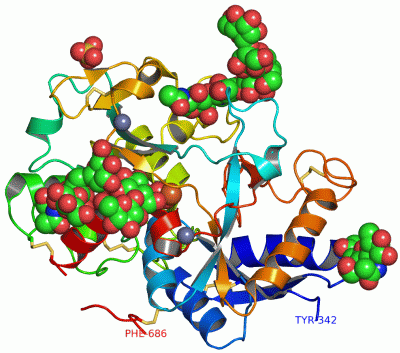 Image Asym./Biol. Unit - manually