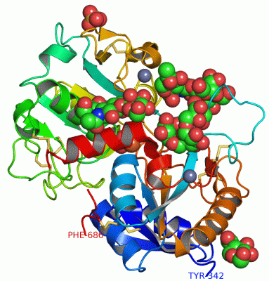 Image Asym./Biol. Unit - manually