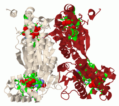 Image Biol.Unit 1 - manually