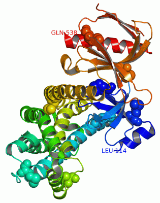 Image Asym./Biol. Unit - manually