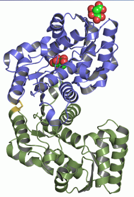 Image Asym./Biol. Unit - manually