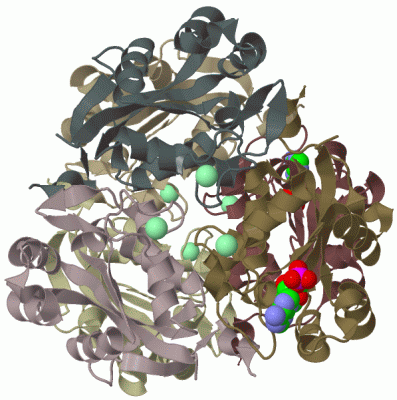 Image Biol.Unit 1 - manually