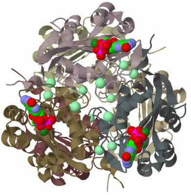 Image Biol.Unit 1 - manually