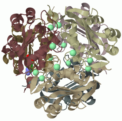 Image Biol.Unit 1 - manually