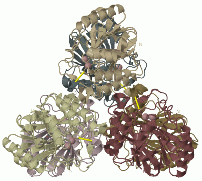 Image Biol.Unit 1 - manually