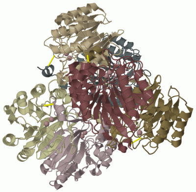 Image Biol.Unit 1 - manually