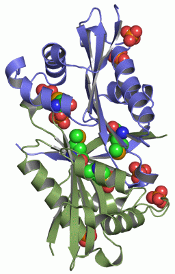 Image Asym./Biol. Unit - manually