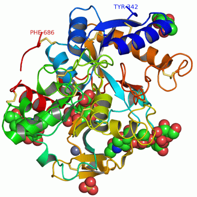 Image Asym./Biol. Unit - manually