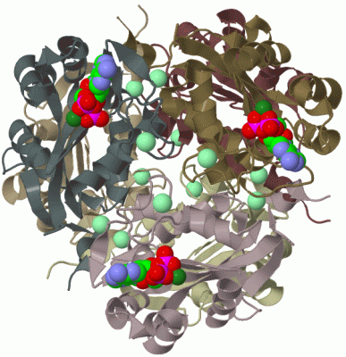 Image Biol.Unit 1 - manually