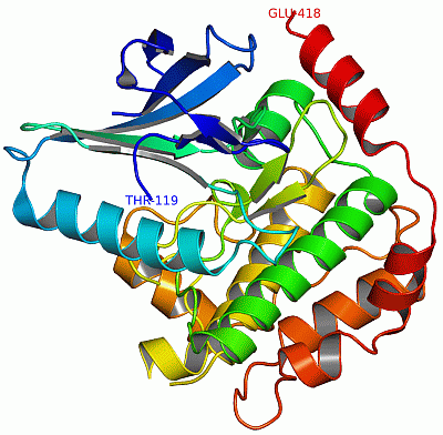 Image Asym./Biol. Unit - manually