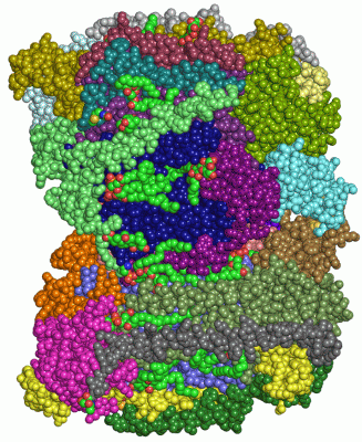 Image Asym./Biol. Unit - manually